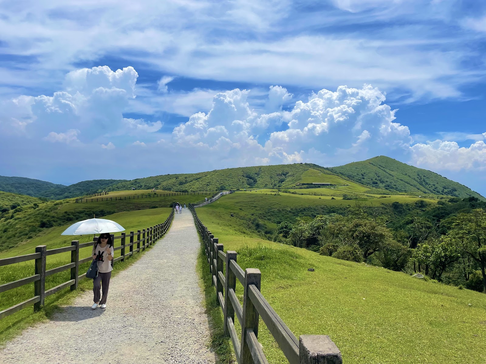 Yangmingshan National Park (Qingtiangang Grassland)