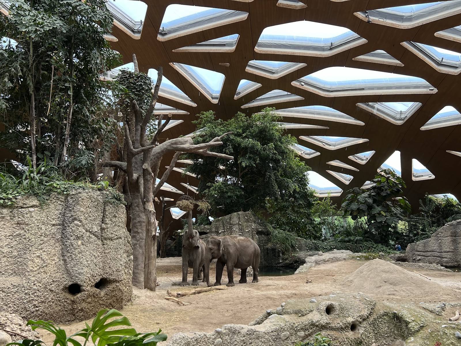 Zurich Zoo (Zoo Zürich)